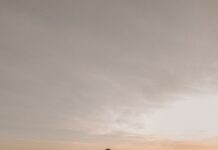 마이 바레 자격증 최고의 선택 Woman stands on rocks at the beach during sunset.