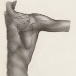 말린어깨에 바레 운동이 유용한 이유 a black and white drawing of a person's arm