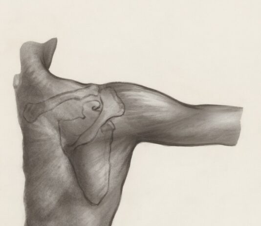 말린어깨에 바레 운동이 유용한 이유 a black and white drawing of a person's arm