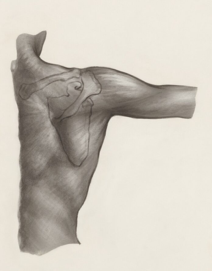 Photo by Europeana a black and white drawing of a person's arm