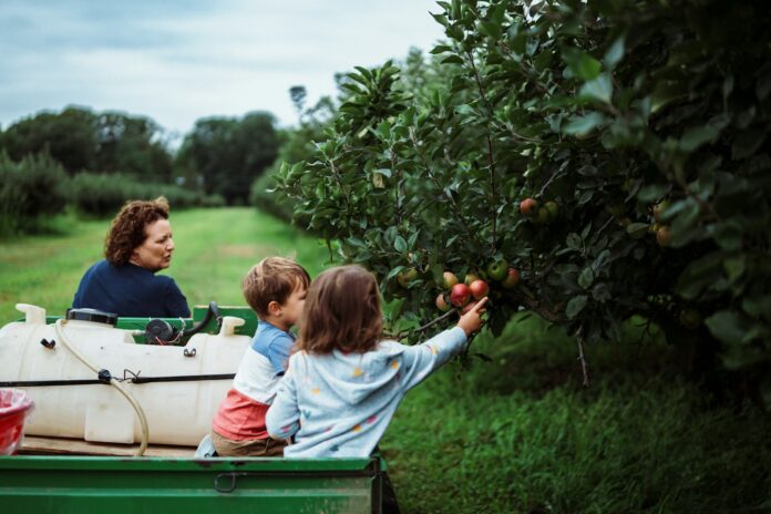 Photo by Land O'Lakes, Inc. Family picking apples from a tree in an orchard.