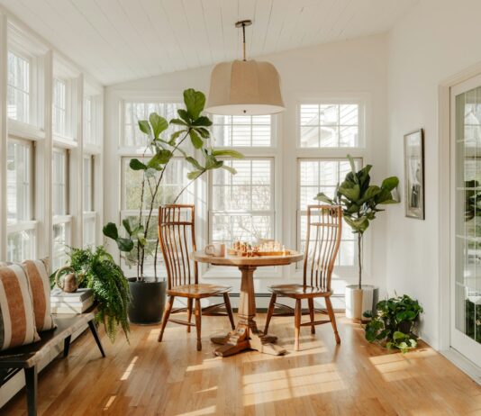 바레 운동 센터에 회원없는 이유? SNS에서만 핫하다고요? Bright sunroom with plants and dining table.